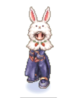 Rabbit Cape Costume.png